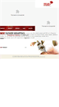 Mobile Screenshot of hansanent.com